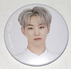SEVENTEEN ホシ HOSHI 缶バッチ 호시 銀髪 - メルカリ