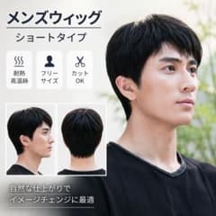 メンズ ウィッグ ショート 耐熱ファイバー フリーサイズ 男装 コスプレ かつらのサムネイル