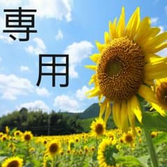 おたけ様専用キャンメイクのリップとネイルのサムネイル