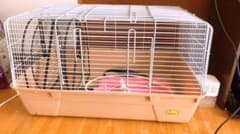 ハリネズミ飼育セットのサムネイル