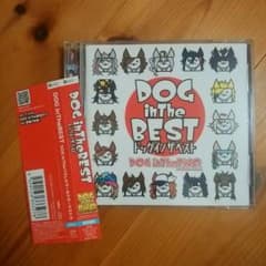DOG in The PWO DOG in The BESTのサムネイル