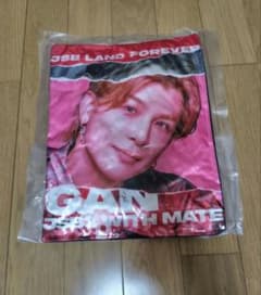 JSB LAND FOREVER クッション 岩田剛典 - メルカリ
