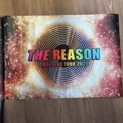 THE REASON EXILE LIVE TOUR 2025 フラッグのサムネイル