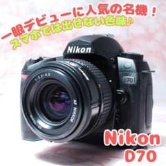 ✨Nikon D70✨標準レンズ CCDの色味を楽しむ入門一眼 動作良好 初心者