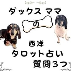 タロット占い 質問3つ 霊視 恋愛 片思い 運命の人 あなたの悩みをズバリ解決のサムネイル