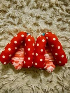 【足半あしなかぞうり】小さな整体師のサムネイル
