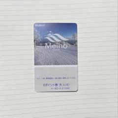 Meino Resort 6ポイント券 大人用のサムネイル