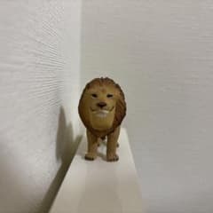 しゃくれてしまったライオンのミニチュア - メルカリ