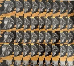 N@プロフ必読、まとめ依頼可様 リクエスト 3点 まとめ商品 - メルカリ