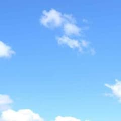 齋藤さん専用のサムネイル