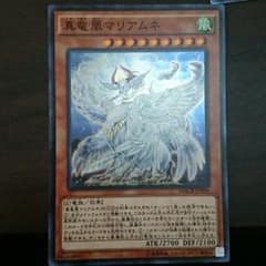 真竜凰マリアムネのサムネイル