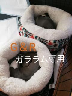 犬のサムネイル