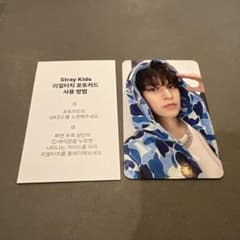 straykids スンミン celebrATE リアルタッチフォトカード - メルカリ