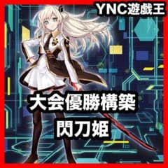 優勝構築 閃刀姫 本格構築済みデッキ 遊戯王 黒き竜のエクレシア レイ ゼロ 優勝構築 閃刀姫 本格構築済みデッキ 遊戯王 黒き竜のエクレシア レイ