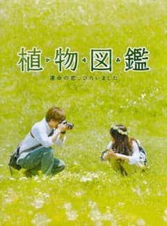 岩田剛典、高畑充希 「植物図鑑 運命の恋、ひろいました」 DVD2枚組