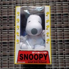 m80361513243_1.jpg?1712997899