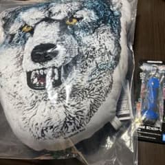 이치 반 쿠지 MAN WITH A MISSION D상 K상 카미카제보이