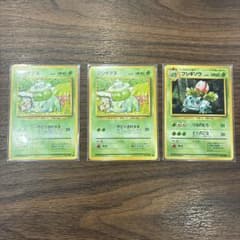 旧裏 ポケモンカード フシギダネ フシギソウ 計3枚セット - メルカリ