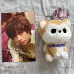 m80373907005_1.jpg?1726721298