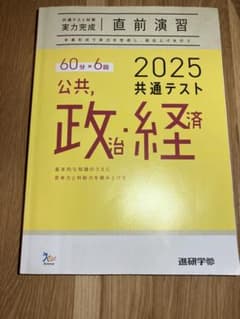 2025 共通テスト 公共、政治・経済 実力完成 直前演習のサムネイル