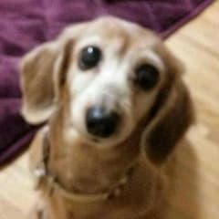 Riamunさま専用のサムネイル