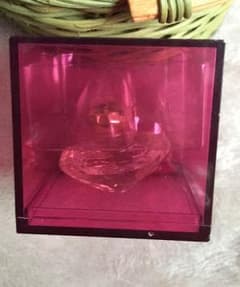YVES SAINT LAURENT  その他 その他のサムネイル