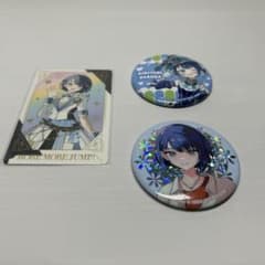 桐谷遥 プロセカ 5th 感謝際 缶バッジ コレクション C 30点 プロセカ 5th Anniversary感謝祭 缶バッジ 桐谷遥 - メルカリ