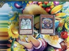 バラ売り不可】スターダスト レッドデーモン デッキセット【エクストラ 