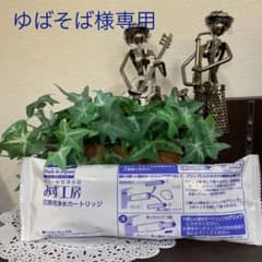 ゆばそば様専用のサムネイル