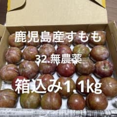 32.鹿児島産すもも　箱込み1.1㎏　無農薬　農薬不使用　プラムのサムネイル