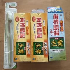 生葉歯磨き粉と歯ブラシセットのサムネイル