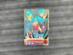 スーパードラゴンボールヒーローズ ヒーローアバターカードのサムネイル