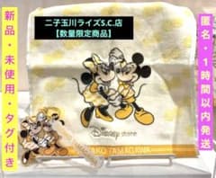 最安値・限定品】ディズニーストア 二子玉川 ミニタオル キーチェーン