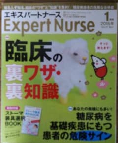 エキスパートナース2015年1月号のサムネイル