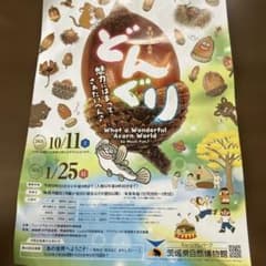 茨城県自然博物館　ミュージアムパーク　招待券のサムネイル