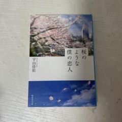 桜のような僕の恋人 宇山佳佑 集英社文庫のサムネイル