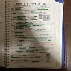 一橋上位合格者の世界史通史プリント(全範囲網羅)のサムネイル