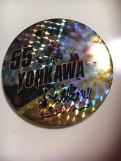 阪神タイガース 陽川選手のサムネイル
