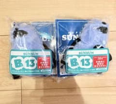 Happy 복권 퍼핏승승 B상 아이즈치 봉제인형 13번 2점 세트