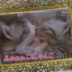 【非売品】ふわふわ にゃんこカレンダー  癒し 猫カレンダー2017のサムネイル