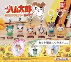 とっとこハム太郎 めじるしアクセサリー ちゅりー！