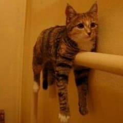 MTG がふ様専用のサムネイル