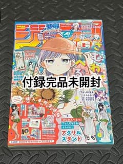 少年ジャンプギガ GIGA 2026 SUMMER 付録未開封のサムネイル
