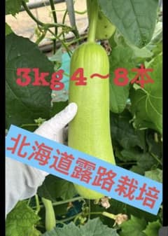 へちま　３kg　4～8本 露路栽培のため値下げのサムネイル