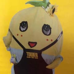 ゆみにゃん様専用。のサムネイル