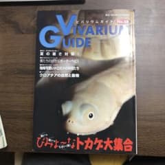 ビバリウムガイドのサムネイル