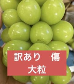 シャインマスカット 訳あり 傷 大粒 - 3