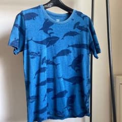 Tシャツのサムネイル