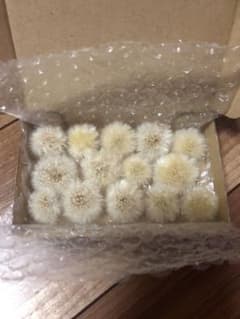 プリララ 様 専用ページのサムネイル