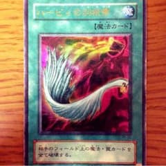 ハーピィの羽根箒のサムネイル